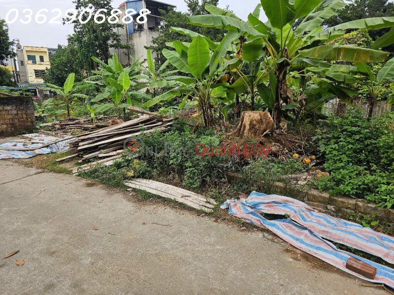 Property Search Vietnam | OneDay | Residential Sales Listings | I am the owner selling urgently a plot of land in Xuan Sen village, only 100m from the Ho Chi Minh Highway.