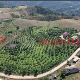 Need to sell a plot of land in a prime location in Chieng Son commune, Moc Chau, with a pink book, area of over 2 hectares, frontage of over _0