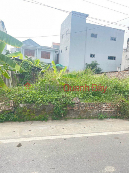 Selling land in Co Duong village, Tien Duong commune, road surface 12m, price cut loss Sales Listings