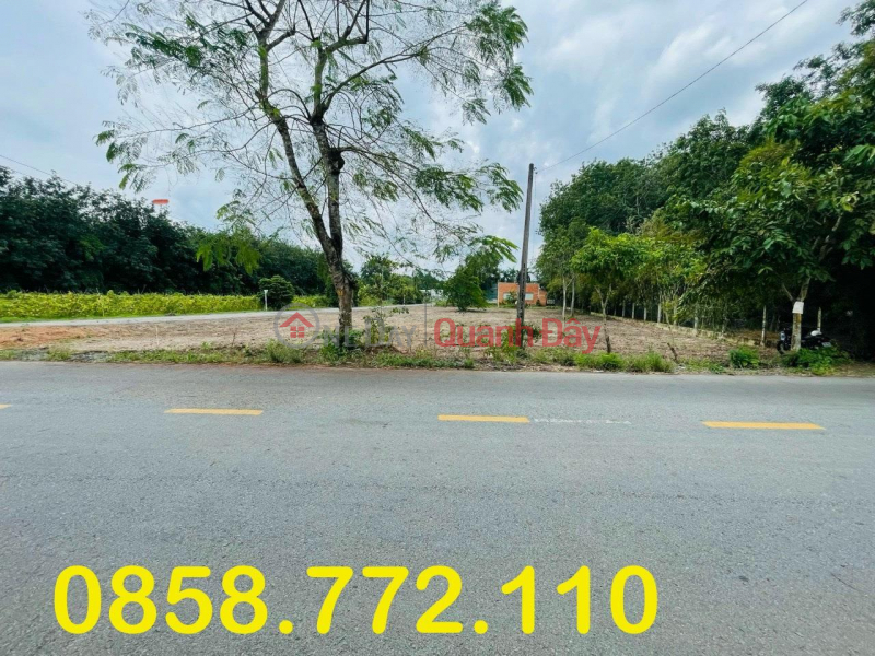 Beautiful Land - Good Price - Beautiful Location Land Lot For Sale In Cu Chi District, Ho Chi Minh City | Vietnam Sales ₫ 1.7 Billion