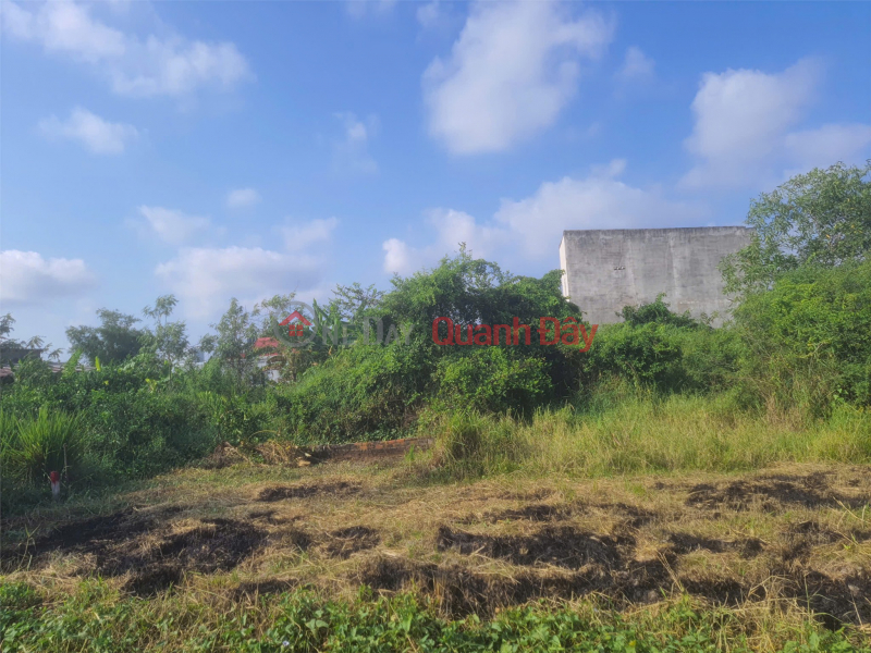 HOT DEAL! PRIME LAND FOR SALE - OWNER NEEDS TO SELL LAND in Hung Long Commune, Binh Chanh District, Ho Chi Minh City, Vietnam | Sales, đ 2.05 Billion