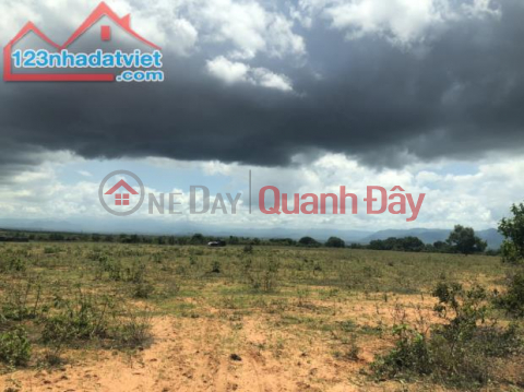 Congested land for urgent sale, VIP book Near Lien District With Road, square book, Hoa Thang commune, Bac Binh, Binh Thuan _0