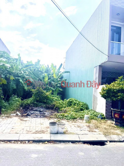 Land for sale on Le Dinh street - 5m5 pine road Hoa Xuan - Da Nang _0