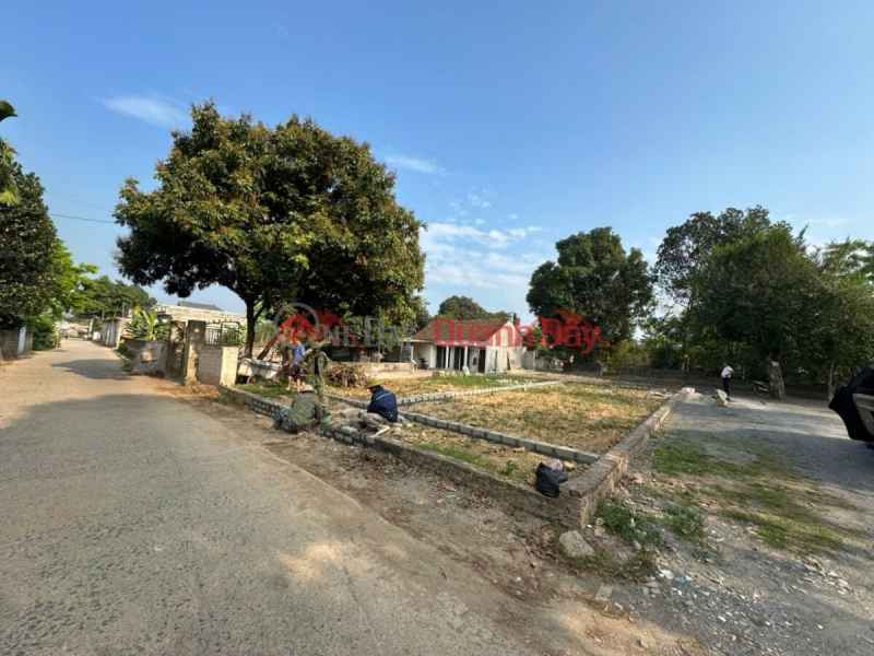 OWNER SELLS 3 LOTS OF LAND IN TAN TIEN-CHUONG MY-HANOI | Vietnam, Sales đ 2.5 Billion