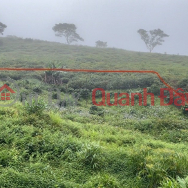 ĐẤT ĐẸP – GIÁ ĐẦU TƯ - CẦN BÁN LÔ ĐẤT VỊ TRÍ ĐẸP TẠI Phường Xuân Trường - Đà Lạt, Lâm Đồng _0