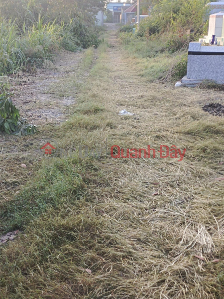 FOR QUICK SALE OF OWNER'S Land Plot Prime Location - CHEAP PRICE - In Go Cong Tay District, Tien Giang, Vietnam, Sales, ₫ 1 Billion