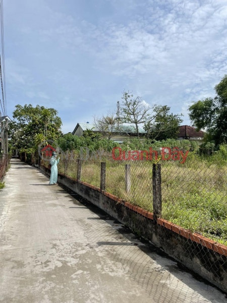 ₫ 1.6 Billion, OWNER LAND - GOOD PRICE - Quick Sale of Residential Land Plots in Can Giuoc Town - Long An