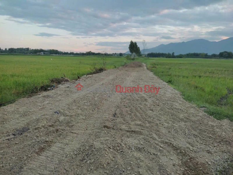 đ 21,62 tỷ, Bán Đất 4324m2 MẶT TIỀN Đường số 4 Cam Thành Bắc, Cam Lâm, Khánh Hòa (chỉ 5 triệu/m²)