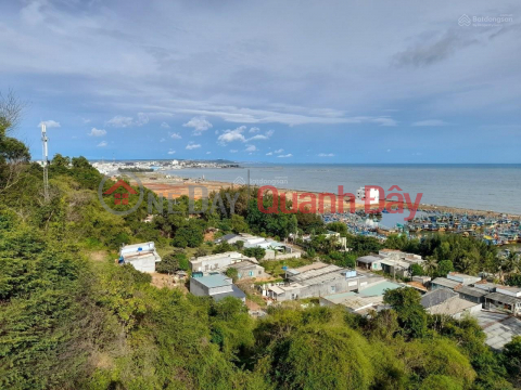 Beautiful Land - Good Price - Owner Needs to Sell Land Lot, Beautiful Location, Front of Tran Le Street, Phan Thiet _0