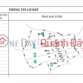 URGENTLY OPENING FOR SALE 5 F0 LOTS IN MIN TO VILLAGE_TRU HUU COMMUNE_LUC NGAN_BAC GIANG _0