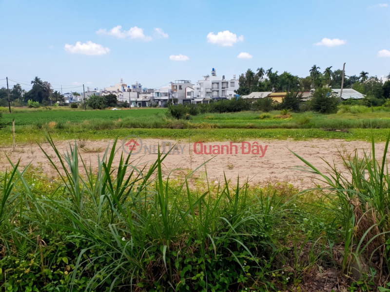 Property Search Vietnam | OneDay | Residential | Sales Listings, L2282 LAND PLOT IN THANH XUAN 31 - SHOCKING PRICE 4.X BILLION VND!