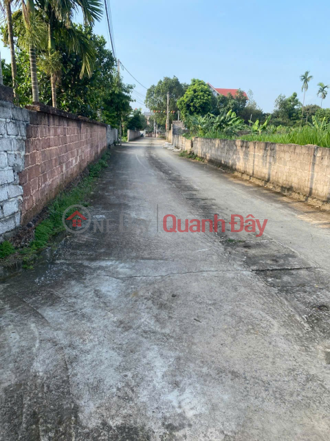 LAND LOT IN GOOD LOCATION - INVESTMENT PRICE OWNER NEEDS TO SELL QUICKLY land lot in Chuong My district, Hanoi city _0