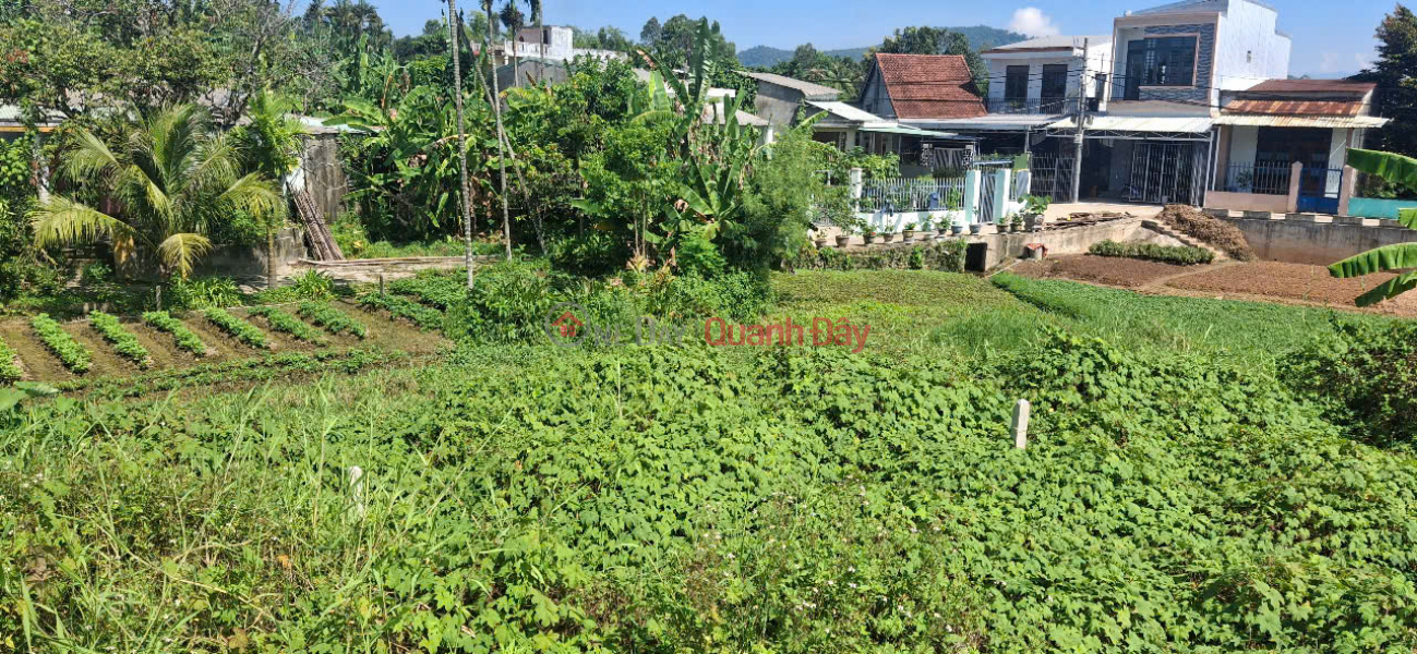 đ 2.38 Billion ONLY 2.4 BILLION – LAND FRONTAGE ON TRUONG CHINH STREET – 100M² – BEAUTIFUL LOCATION, HARD TO FIND!