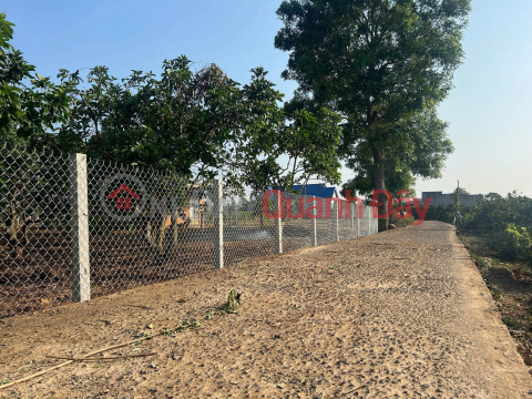 Bán 394m2 đất xã tân hội, đức trọng lâm đồng _0