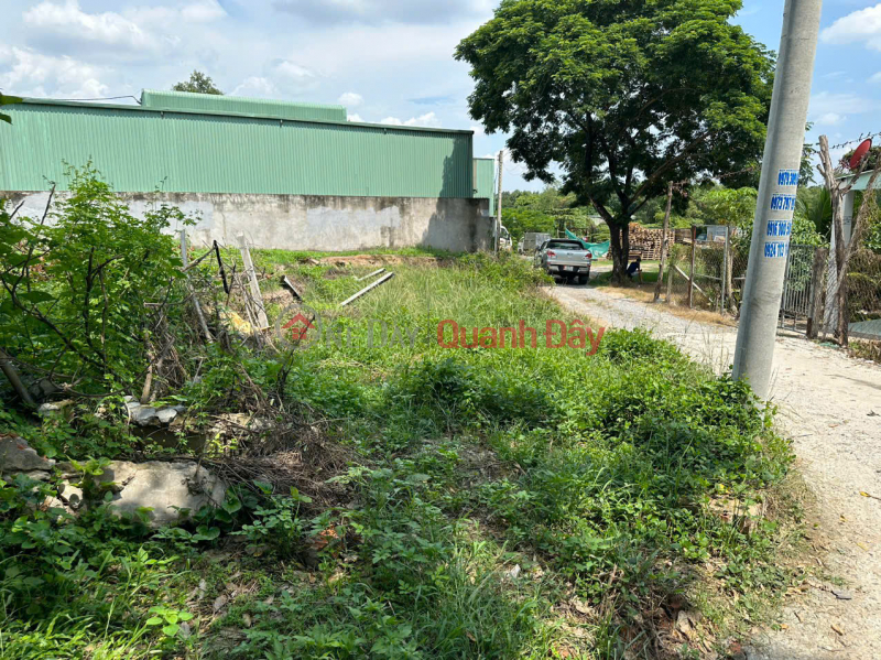 CHÍNH CHỦ BÁN ĐẤT SẴN SỔ ĐƯỜNG ÔTÔ TỚI ĐẤT TẠI THUẬN AN-BÌNH DƯƠNG Niêm yết bán