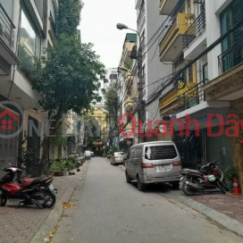 Mac Thai To - cars avoid, enter the house - 20m street surface - Lim wood furniture 50m2 5 floors mt4.1m price 16.7 billion _0