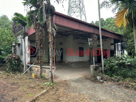 Beautiful Land - Good Price - Owner Needs to Quickly Sell Land Lot in Prime Location in Hoa Binh City, Hoa Binh Province _0