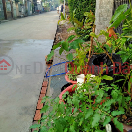 THE OWNERS NEED TO LEASE RESIDENTIAL LAND IN Hamlet 5, LONG PHUOC Commune - LONG THANH - DONG NAI. _0