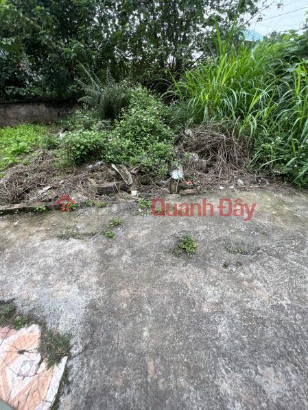 The owner needs to sell a plot of land of 42.8m2 in Phung Chau - Chuong My - Hanoi Sales Listings