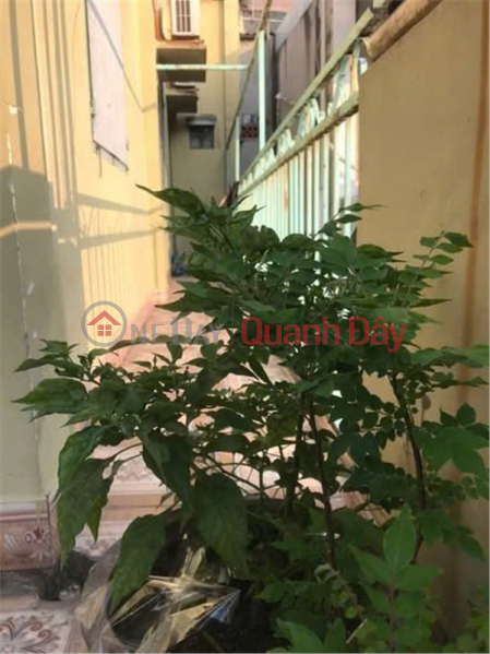 đ 6,3 tỷ | NHÀ KHU VỰC TRƯỜNG THỌ - GIÁ TỐT - CHỦ CẦN BÁN GÂP Tại Phường Trường Thọ, Thủ Đức, Tp. Hồ Chí Minh