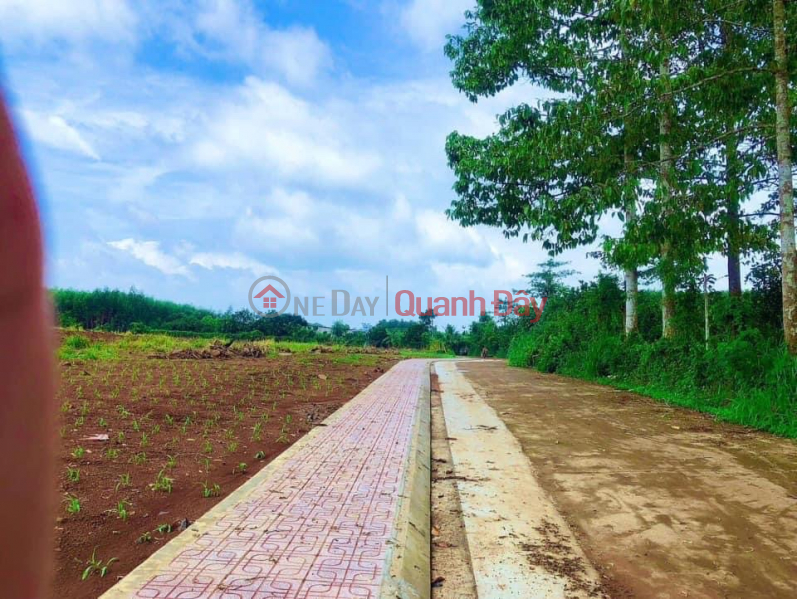 ₫ 790 Million | 140m2 residential land near Long Thanh Dong Nai airport only 350 million