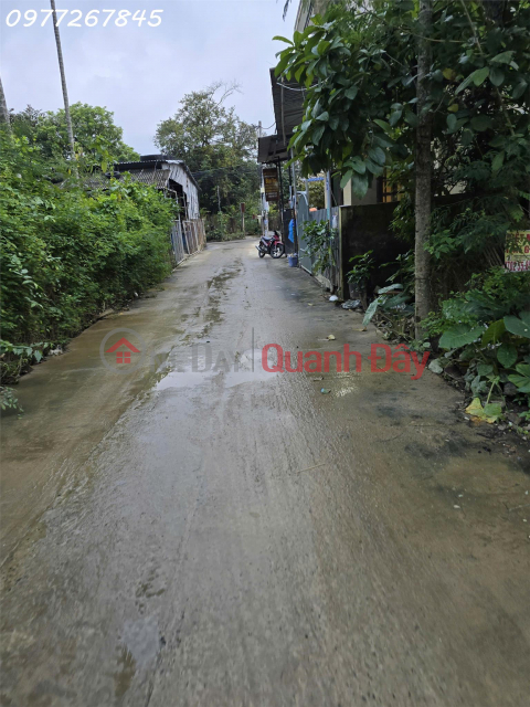 Chính chủ cần bán 2 lô liền kề 120m2 và 100m2 đường Lê Quý Đôn bê tông 4m _0