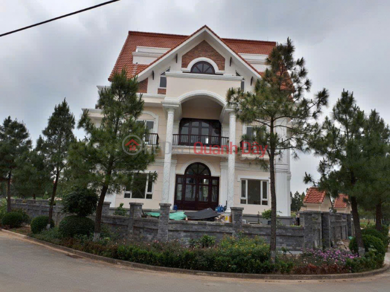 Property Search Vietnam | OneDay | Residential Sales Listings, 400m2 detached villa at The Phoenix Garden, Dan Phuong - Capitalizing on the West Thang Long Boulevard and Ring Road 4.