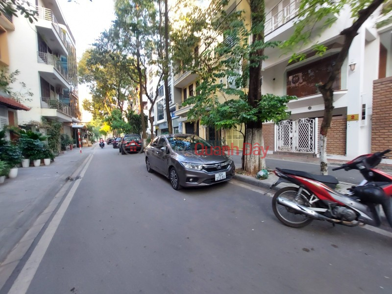 LAND SUBDIVISION IN GIA THUY - GOLDEN SPECIFICATIONS - SIDEWALKS - WIDE ROADS - GENUINE LOCATION Sales Listings