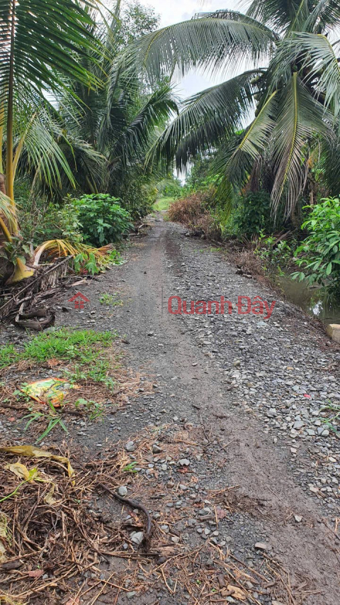 GREAT INVESTMENT OPPORTUNITY AT A GREAT PRICE - OWNER NEEDS TO SELL QUICKLY A PLOT OF LAND IN TAN THANH HAMLET, THU THUA COMMUNE, TAY NINH PROVINCE. _0