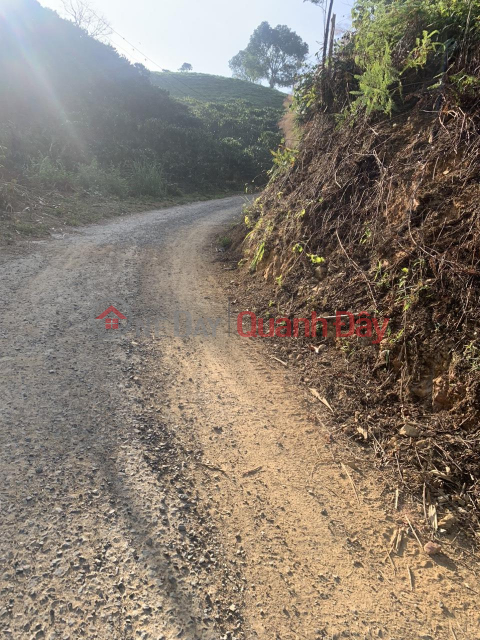 BEAUTIFUL LAND - GOOD PRICE - OWNER FOR SALE Land Beautiful Location Village 10 Loc Thanh Commune, Bao Lam, Lam Dong _0