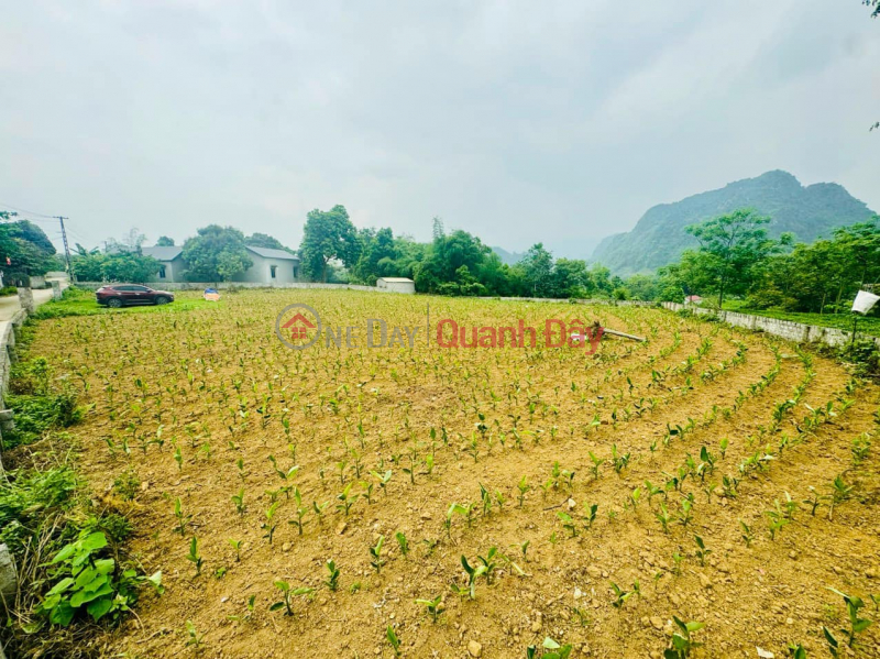 View đồi núi, tầm nhìn rộng, thoáng. Niêm yết bán