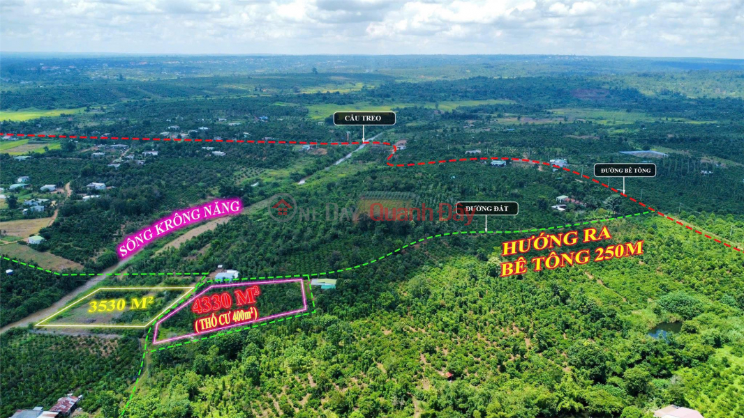 Beautiful Land - Good Price - Owner Needs to Sell a Plot of Land in a Beautiful Location in Tam Giang Commune, Krong Nang, Dak Lak Sales Listings