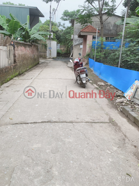 Property Search Vietnam | OneDay | Residential Sales Listings, Beautiful shop in Ha Dong district - only 50m from National Highway 6, open road for trucks - very nice location - area of 50.3m red book