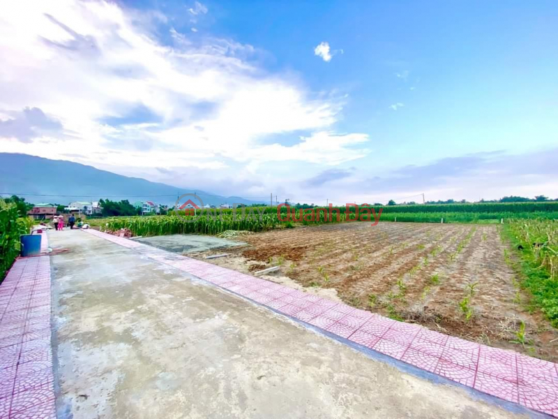 đ 319 Million OPENING BLOCK 7 Plots of Land - The Busiest Location In DAI QUANG - DAI LOC - QUANG NAM