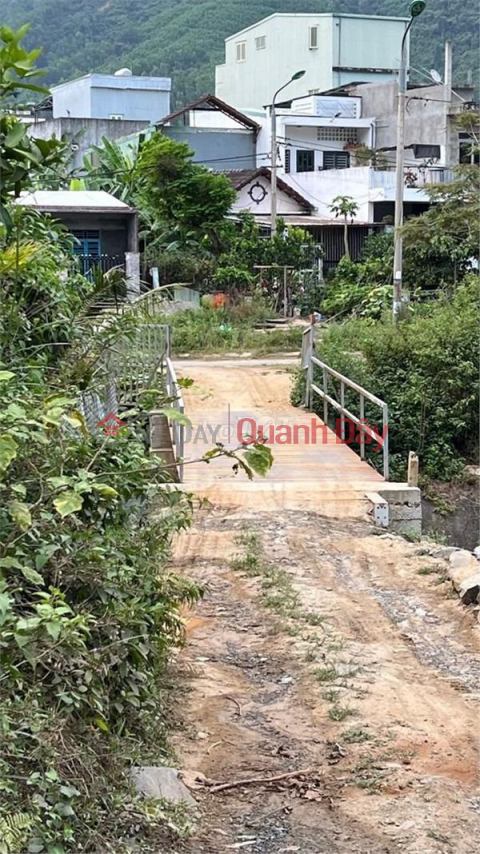 OWNER Sells Land for Fruit Garden in Dai La village - Dai La 6, Hoa Son, Hoa Vang, Da Nang _0