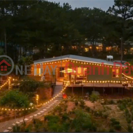 RESORT LAND – PINE FOREST VIEW – BEAUTIFUL PLOT FOR SALE IN VAN THANH, CAM LY WARD, DA LAT CITY, LAM DONG PROVINCE _0
