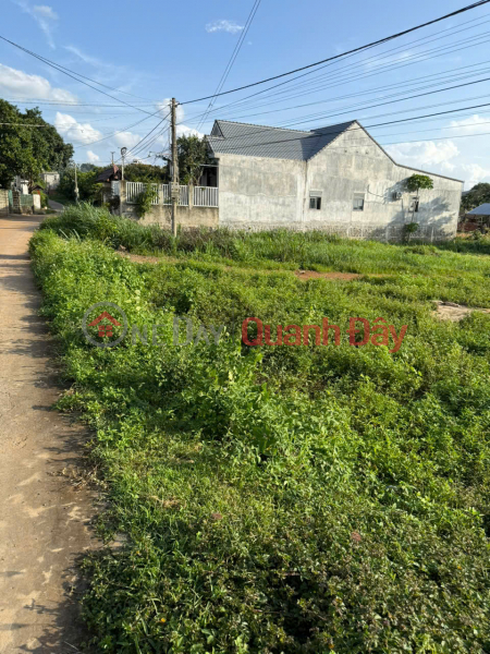 HOT HOT – CHÍNH CHỦ CẦN BÁN ĐẤT TẠI Xã Tâm Thắng, huyện Cư Jut, tỉnh Đắk Nông Việt Nam Bán đ 4,1 tỷ