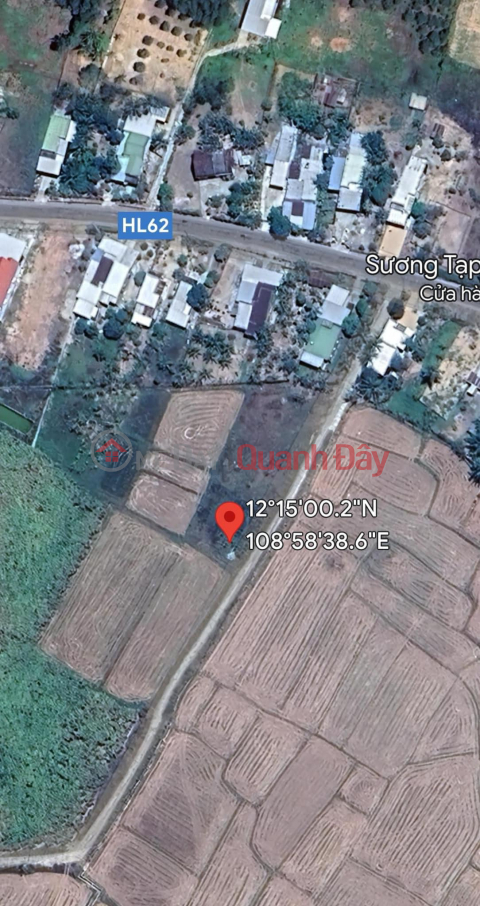 PRIMARY RESIDENTIAL LAND FOR SALE CHEAP PRICE IN DIEN TAN, DIEN KHANH _0