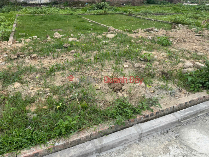 69m² land in Ấp Quan village - group 9, Quang Minh commune, Mê Linh district, wide road, parking available, priced at less than 2 billion VND. Vietnam, Sales đ 1.95 Billion