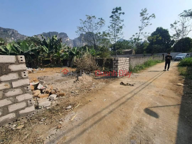 Property Search Vietnam | OneDay | Residential Sales Listings, The owner needs to sell a plot of land with an area of 150 m2 in Dong Ke Tran, Phu Chuong My, Hanoi, 2km from the national highway.