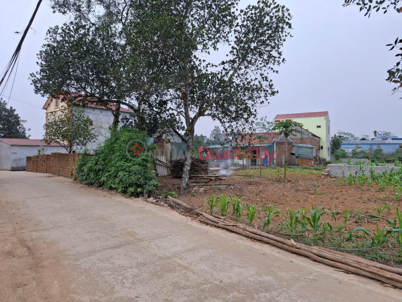 đ 6.89 Billion | Owner selling quickly a prime plot of land on the main road of Doi Sen Hamlet, Binh Yen Commune, Thach That District, Hanoi.