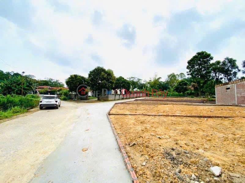 Property Search Vietnam | OneDay | Residential Sales Listings | Beautiful land - Good price - Prime location in Lam Son Commune, Tam Nong District, Phu Tho Province