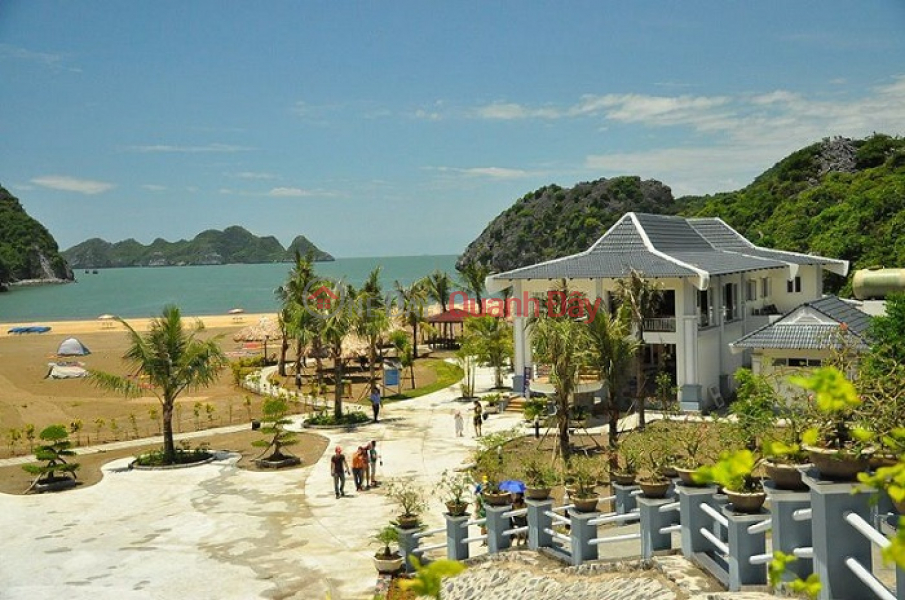 Property Search Vietnam | OneDay | , Niêm yết bán | Chính chủ bán 312m² mặt đường Tùng Dinh ( cạnh bãi tắm Tùng Thu ) - Cát Bà - Hải Phòng.