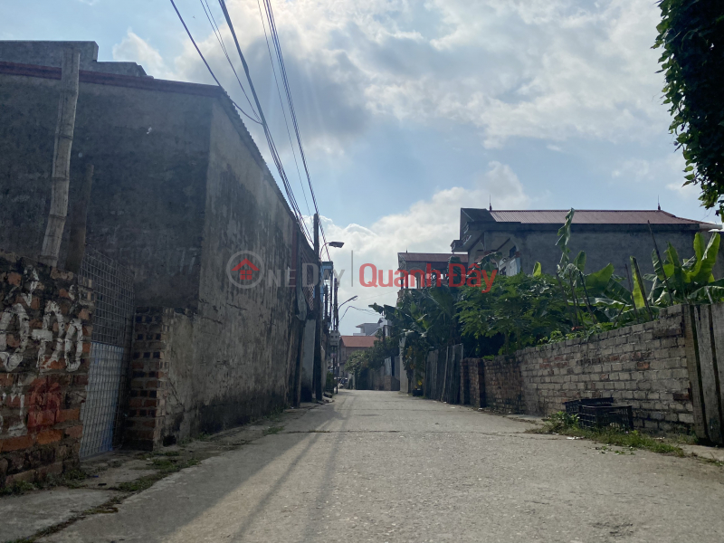 Property Search Vietnam | OneDay | Residential | Sales Listings | Selling 76m2 door of Noi Bai Industrial Park at Xuan Bach - Quang Tien, 5m wide road. Contact 0981568317