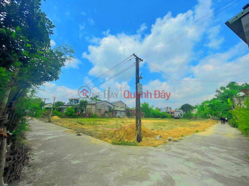 Property Search Vietnam | OneDay | Sales Listings Land for sale right next to National Highway 1A S=106m2 ODT 4m concrete road in crowded residential area