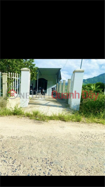 BEAUTIFUL LAND - GOOD PRICE - Land Lot For Sale Prime Location In Suoi Tien Commune, Dien Khanh District, Khanh Hoa Sales Listings