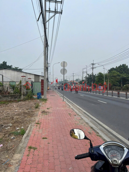 OWNER SENDS FOR QUICK SALE Lot of Land Frontage on Provincial Road 8, Hoa Phu Commune, Cu Chi District, Ho Chi Minh City | Vietnam, Sales, đ 28 Billion