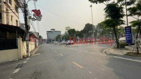 Beautiful house ready to move in - Car access, facing a park, near Nhat Tan Bridge, only 15 minutes to Hanoi city center. _0