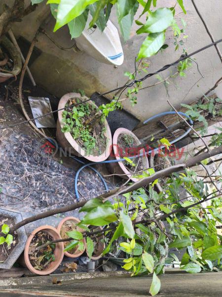 đ 6,5 tỷ ► Mặt Tiền Cù Chính Lan, 75m2, 5x15m, tặng nhà C4, 6.5 tỷ