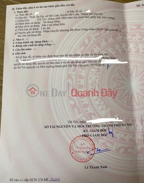 Property Search Vietnam | OneDay | Residential | Sales Listings | BEAUTIFUL LAND - GOOD PRICE - OWNERS Need to Sell Land Lot in Prime Location in Me Linh, Hanoi Quickly